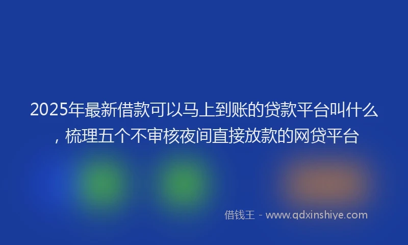 2025年最新借款可以马上到账的贷款平台叫什么，梳理五个不审核夜间直接放款的网贷平台