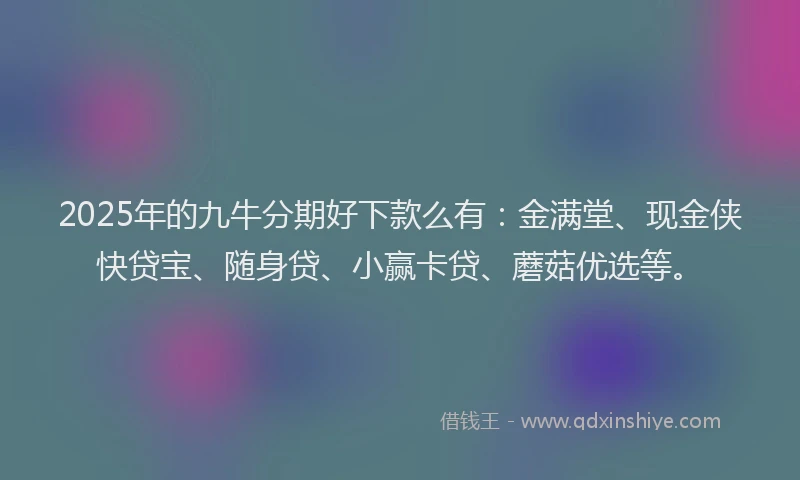2025年的九牛分期好下款么有：金满堂、现金侠快贷宝、随身贷、小赢卡贷、蘑菇优选等。