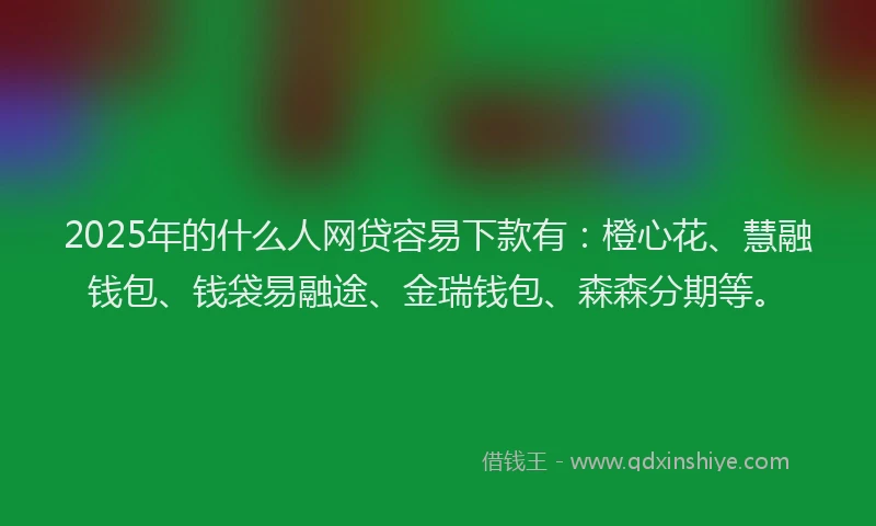 2025年的什么人网贷容易下款有：橙心花、慧融钱包、钱袋易融途、金瑞钱包、森森分期等。
