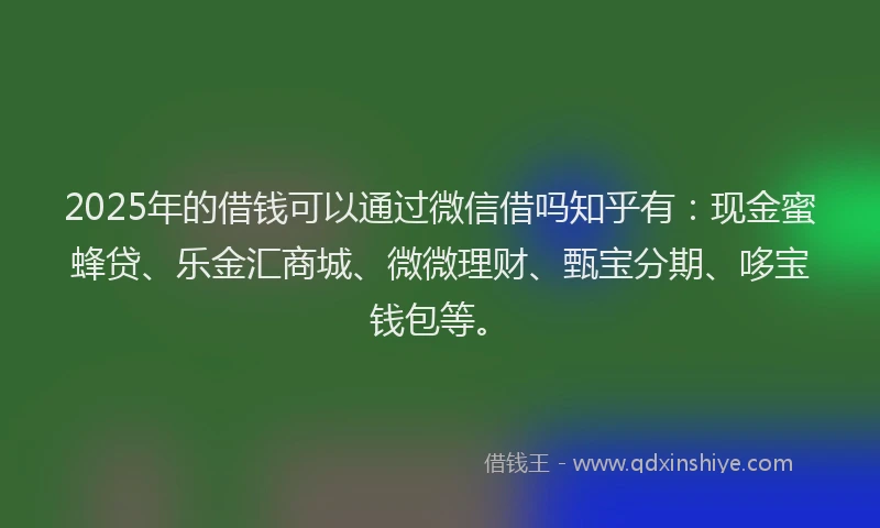 2025年的借钱可以通过微信借吗知乎有：现金蜜蜂贷、乐金汇商城、微微理财、甄宝分期、哆宝钱包等。
