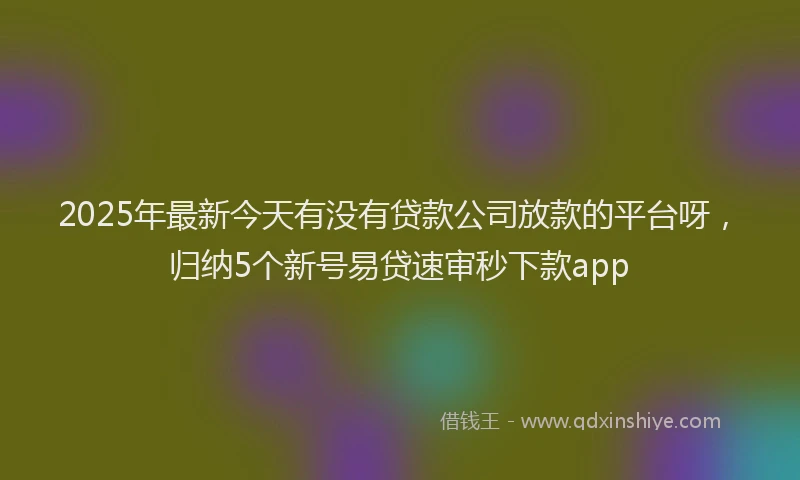 2025年最新今天有没有贷款公司放款的平台呀，归纳5个新号易贷速审秒下款app
