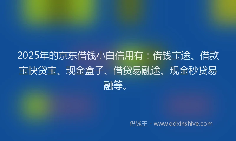 2025年的京东借钱小白信用有：借钱宝途、借款宝快贷宝、现金盒子、借贷易融途、现金秒贷易融等。