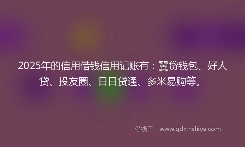 2025年的信用借钱信用记账有：翼贷钱包、好人贷、投友圈、日日贷通、多米易购等。
