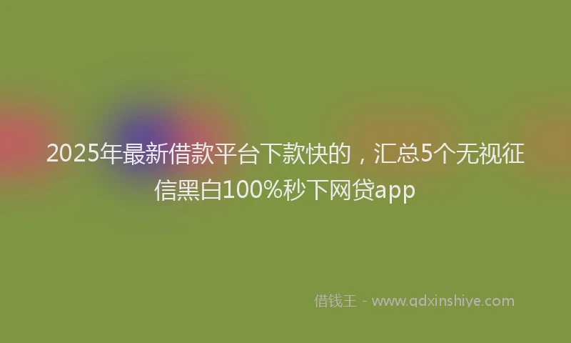 2025年最新借款平台下款快的，汇总5个无视征信黑白100%秒下网贷app