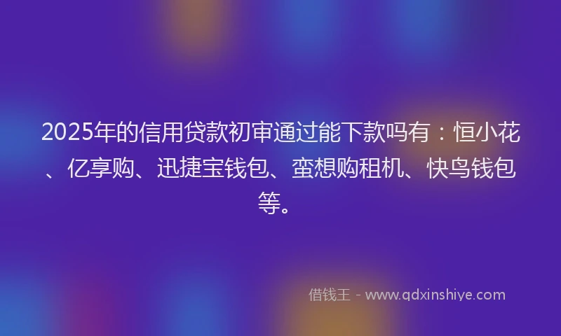 2025年的信用贷款初审通过能下款吗有：恒小花、亿享购、迅捷宝钱包、蛮想购租机、快鸟钱包等。