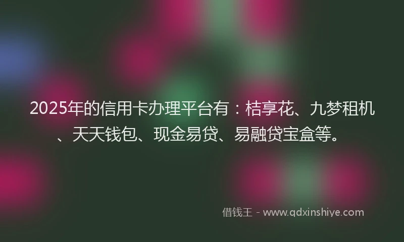 2025年的信用卡办理平台有：桔享花、九梦租机、天天钱包、现金易贷、易融贷宝盒等。
