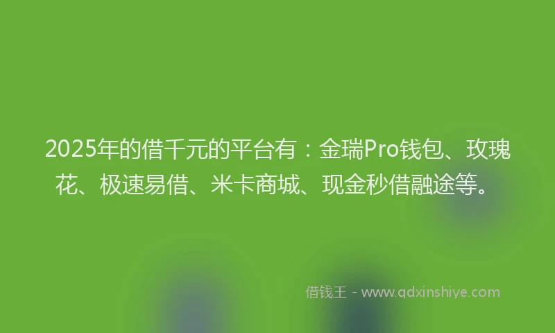 2025年的借千元的平台有：金瑞Pro钱包、玫瑰花、极速易借、米卡商城、现金秒借融途等。