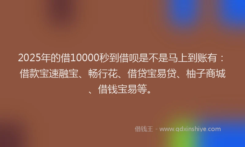 2025年的借10000秒到借呗是不是马上到账有：借款宝速融宝、畅行花、借贷宝易贷、柚子商城、借钱宝易等。