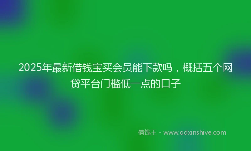 2025年最新借钱宝买会员能下款吗，概括五个网贷平台门槛低一点的口子
