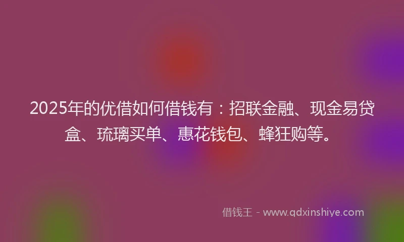 2025年的优借如何借钱有：招联金融、现金易贷盒、琉璃买单、惠花钱包、蜂狂购等。