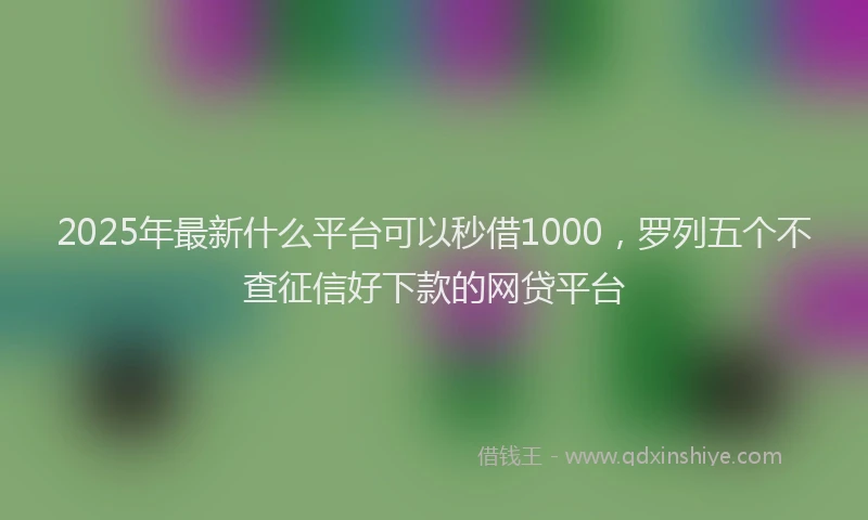 2025年最新什么平台可以秒借1000，罗列五个不查征信好下款的网贷平台