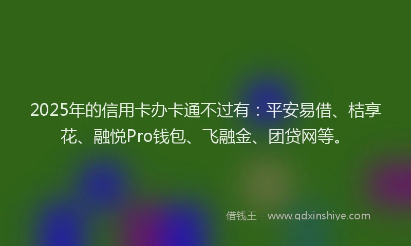 2025年的信用卡办卡通不过有：平安易借、桔享花、融悦Pro钱包、飞融金、团贷网等。
