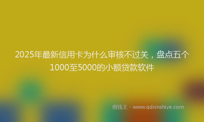 2025年最新信用卡为什么审核不过关，盘点五个1000至5000的小额贷款软件