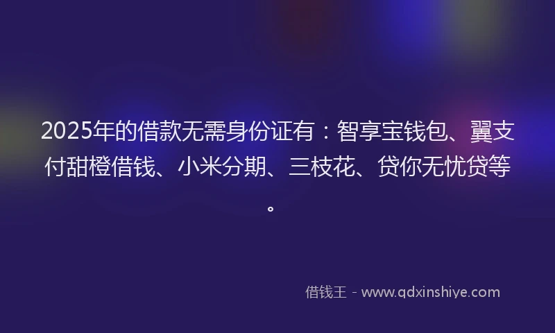 2025年的借款无需身份证有：智享宝钱包、翼支付甜橙借钱、小米分期、三枝花、贷你无忧贷等。