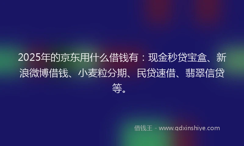2025年的京东用什么借钱有：现金秒贷宝盒、新浪微博借钱、小麦粒分期、民贷速借、翡翠信贷等。