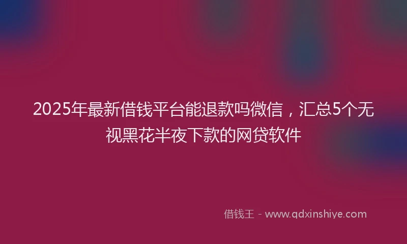 2025年最新借钱平台能退款吗微信，汇总5个无视黑花半夜下款的网贷软件