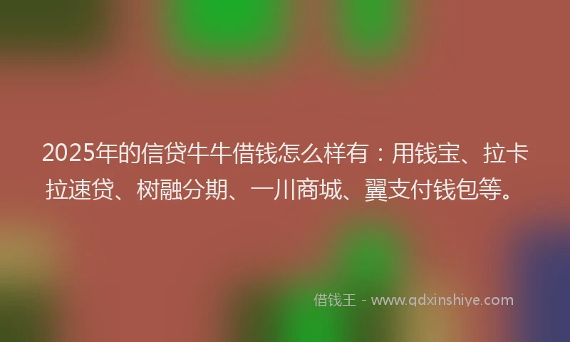 2025年的信贷牛牛借钱怎么样有：用钱宝、拉卡拉速贷、树融分期、一川商城、翼支付钱包等。