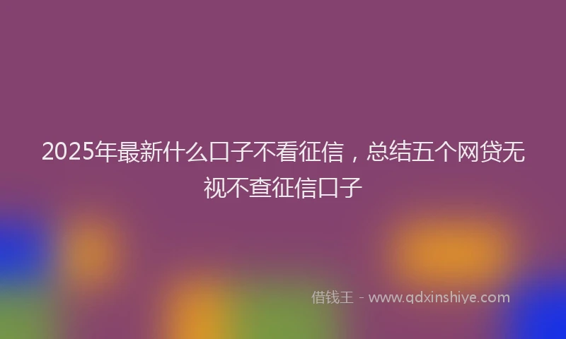 2025年最新什么口子不看征信，总结五个网贷无视不查征信口子