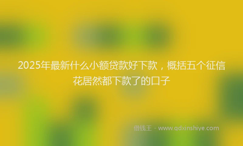 2025年最新什么小额贷款好下款，概括五个征信花居然都下款了的口子