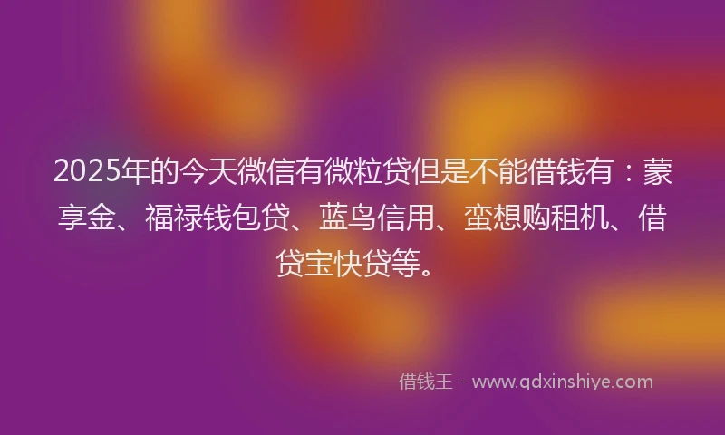 2025年的今天微信有微粒贷但是不能借钱有：蒙享金、福禄钱包贷、蓝鸟信用、蛮想购租机、借贷宝快贷等。