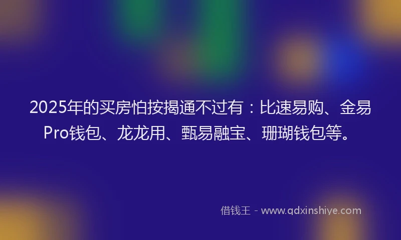 2025年的买房怕按揭通不过有：比速易购、金易Pro钱包、龙龙用、甄易融宝、珊瑚钱包等。