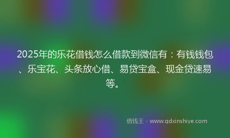 2025年的乐花借钱怎么借款到微信有：有钱钱包、乐宝花、头条放心借、易贷宝盒、现金贷速易等。