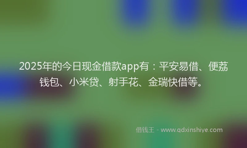 2025年的今日现金借款app有：平安易借、便荔钱包、小米贷、射手花、金瑞快借等。