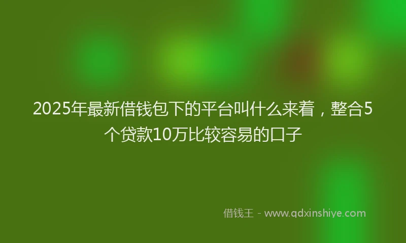 2025年最新借钱包下的平台叫什么来着，整合5个贷款10万比较容易的口子