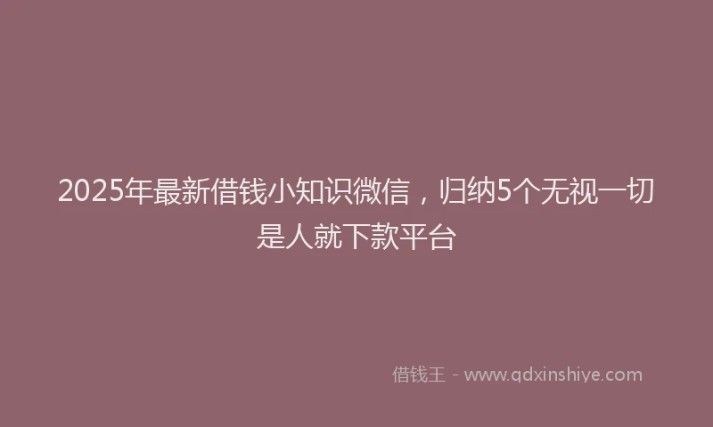 2025年最新借钱小知识微信，归纳5个无视一切是人就下款平台