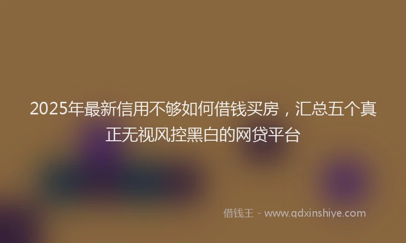 2025年最新信用不够如何借钱买房，汇总五个真正无视风控黑白的网贷平台