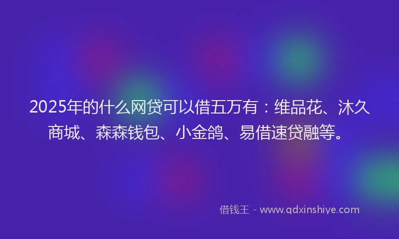2025年的什么网贷可以借五万有：维品花、沐久商城、森森钱包、小金鸽、易借速贷融等。