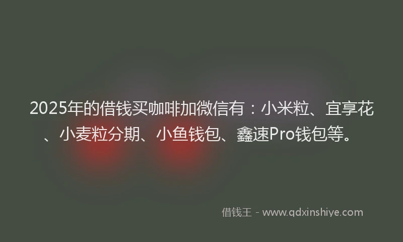 2025年的借钱买咖啡加微信有：小米粒、宜享花、小麦粒分期、小鱼钱包、鑫速Pro钱包等。