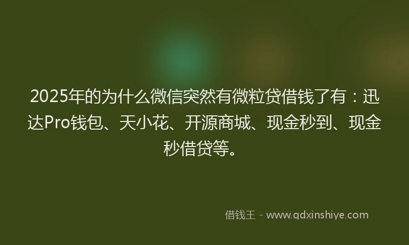 2025年的为什么微信突然有微粒贷借钱了有：迅达Pro钱包、天小花、开源商城、现金秒到、现金秒借贷等。