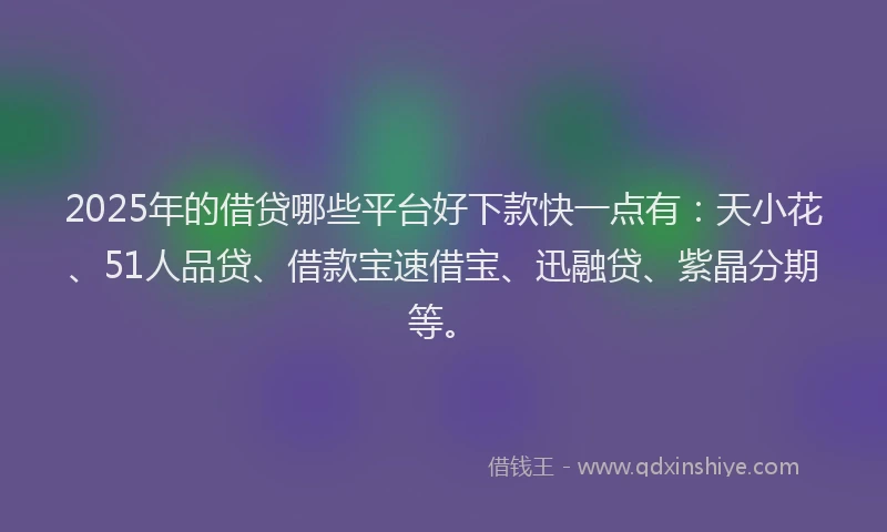 2025年的借贷哪些平台好下款快一点有：天小花、51人品贷、借款宝速借宝、迅融贷、紫晶分期等。