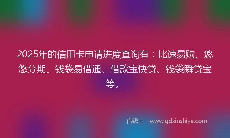 2025年的信用卡申请进度查询有：比速易购、悠悠分期、钱袋易借通、借款宝快贷、钱袋瞬贷宝等。