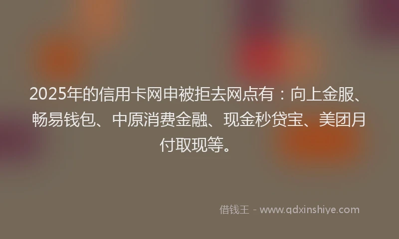 2025年的信用卡网申被拒去网点有：向上金服、畅易钱包、中原消费金融、现金秒贷宝、美团月付取现等。