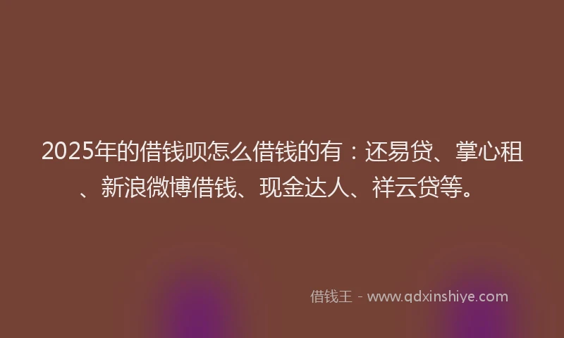 2025年的借钱呗怎么借钱的有：还易贷、掌心租、新浪微博借钱、现金达人、祥云贷等。