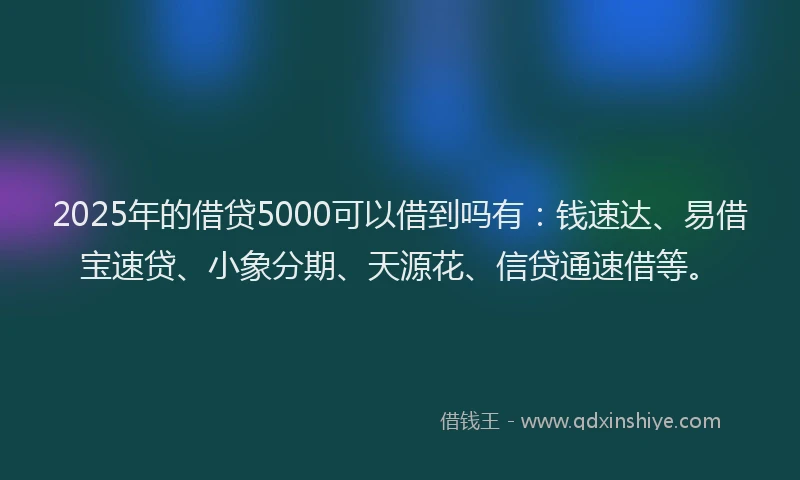 2025年的借贷5000可以借到吗有：钱速达、易借宝速贷、小象分期、天源花、信贷通速借等。