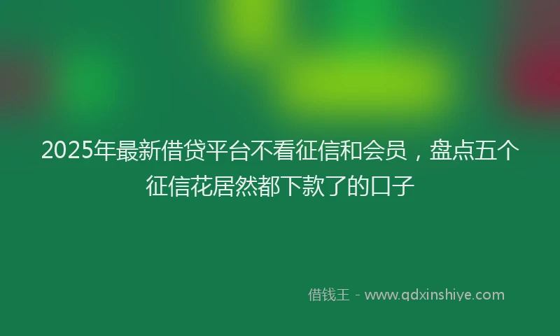 2025年最新借贷平台不看征信和会员，盘点五个征信花居然都下款了的口子
