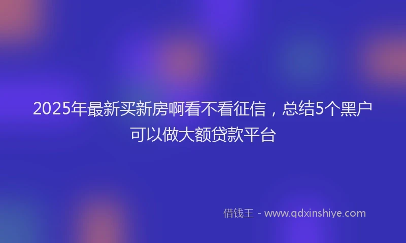 2025年最新买新房啊看不看征信，总结5个黑户可以做大额贷款平台