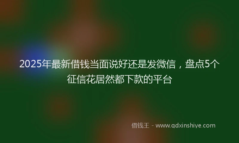 2025年最新借钱当面说好还是发微信，盘点5个征信花居然都下款的平台
