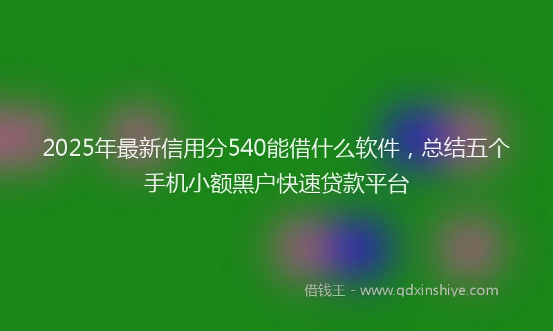 2025年最新信用分540能借什么软件，总结五个手机小额黑户快速贷款平台
