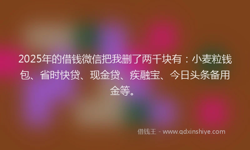 2025年的借钱微信把我删了两千块有：小麦粒钱包、省时快贷、现金贷、疾融宝、今日头条备用金等。
