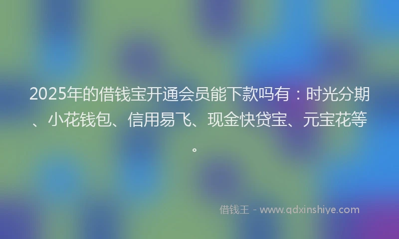 2025年的借钱宝开通会员能下款吗有：时光分期、小花钱包、信用易飞、现金快贷宝、元宝花等。