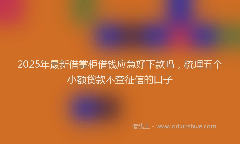 2025年最新借掌柜借钱应急好下款吗，梳理五个小额贷款不查征信的口子