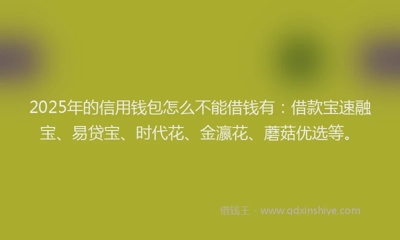 2025年的信用钱包怎么不能借钱有：借款宝速融宝、易贷宝、时代花、金瀛花、蘑菇优选等。