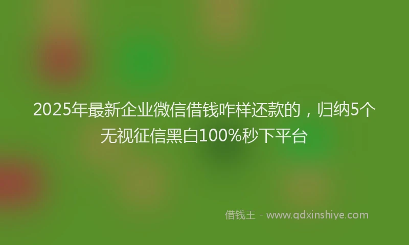 2025年最新企业微信借钱咋样还款的，归纳5个无视征信黑白100%秒下平台