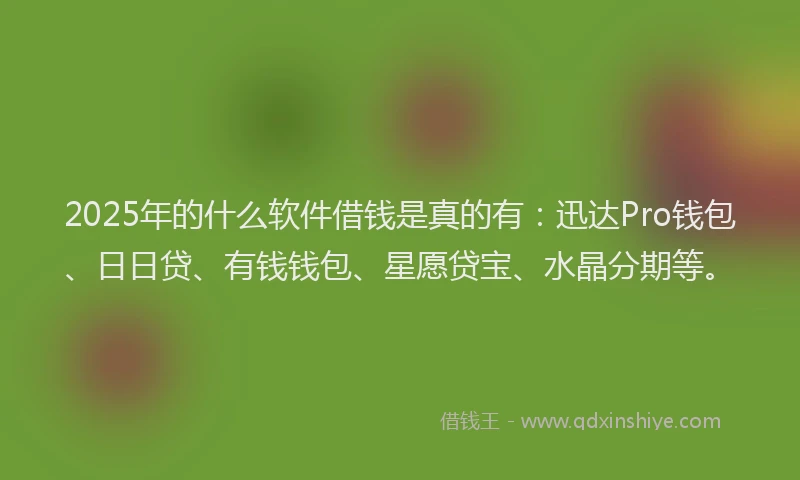2025年的什么软件借钱是真的有：迅达Pro钱包、日日贷、有钱钱包、星愿贷宝、水晶分期等。