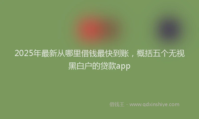 2025年最新从哪里借钱最快到账，概括五个无视黑白户的贷款app