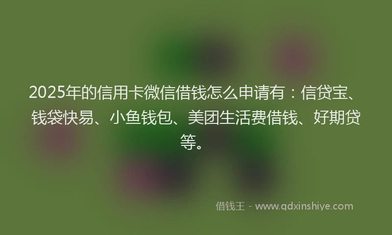 2025年的信用卡微信借钱怎么申请有：信贷宝、钱袋快易、小鱼钱包、美团生活费借钱、好期贷等。